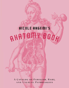 NicoleAngemiAnatomy54753J1_13