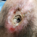 Screen Shot 2023-08-23 at 8.51.34 AM