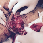 Screen Shot 2024-01-10 at 12.59.51 PM