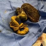 44E1D080-3CD5-44EB-9C23-8D99BFBAF7D8