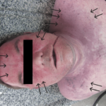 article_river_044cbec0894211ef8bd39df61a401ca0-IMG_1-new-strelki