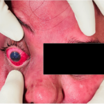 Take Them With You article_river_85c138507e2f11ef96be0928aeaa0cfa-Figure-2